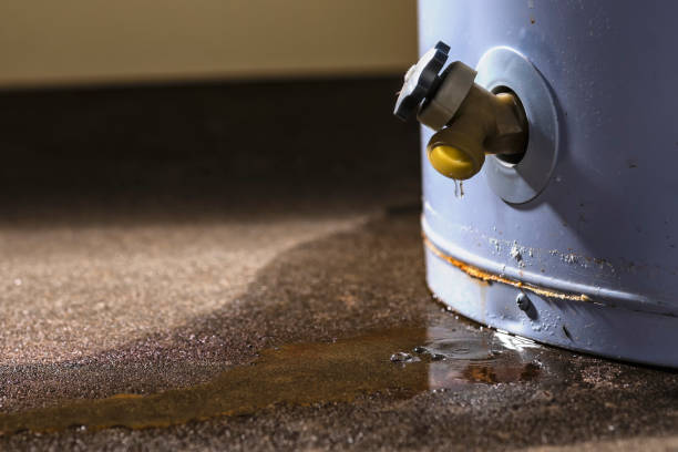 Best Sewage cleanup and water damage restoration  in Elk City, OK