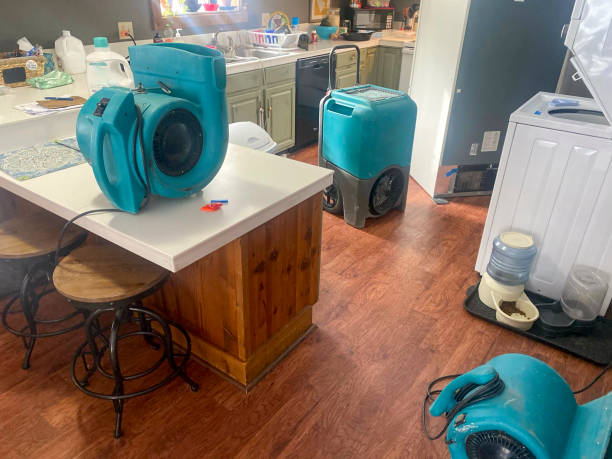 Best Water damage repair service  in Elk City, OK