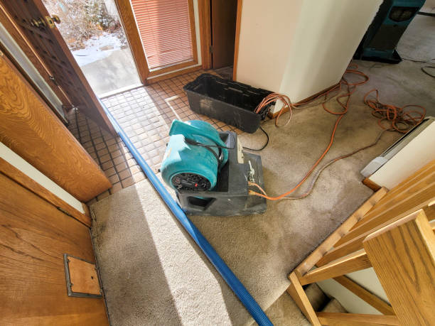 Best Water damage restoration near me  in Elk City, OK