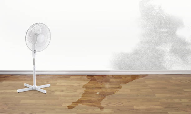 Best 24-hour water damage restoration  in Elk City, OK