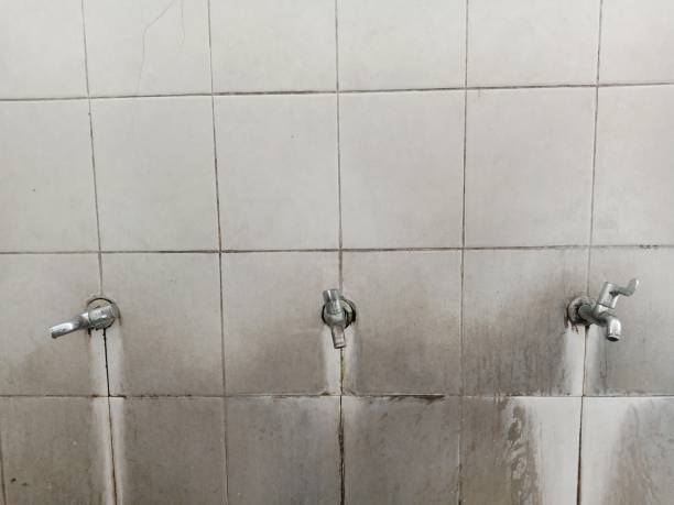 Best Water damage cleanup near me  in Elk City, OK